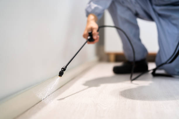 Professional exterminator conducting IPM assessment in Apple Creek